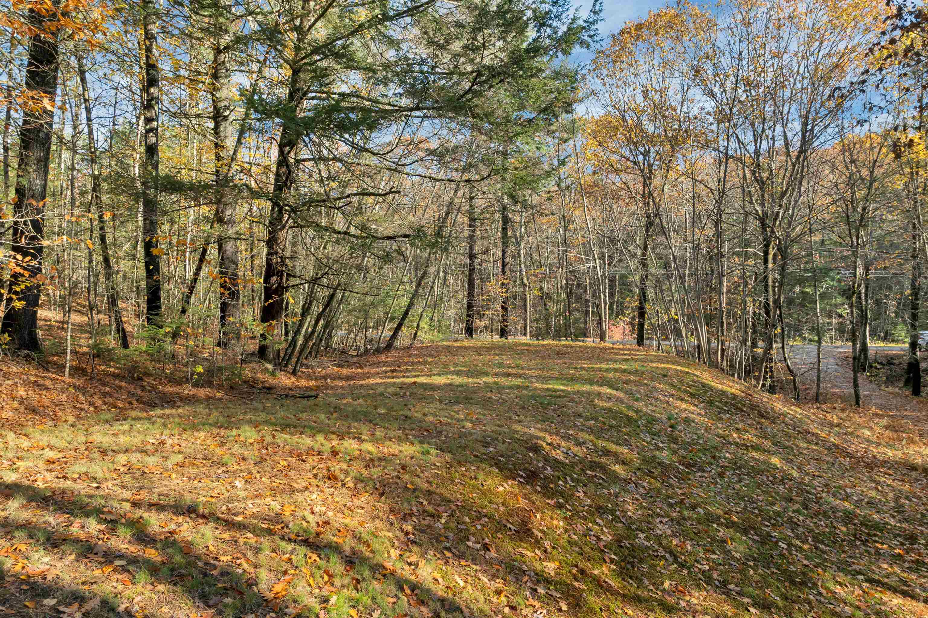 94 Mt Delight Road Deerfield, NH 03037 - Photo 9 of 57