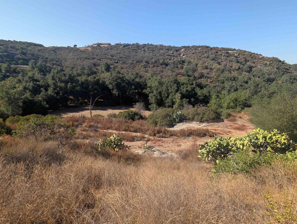 18868 Paradise Mountain Road Valley Center, CA 92082 - Photo 6 of 33