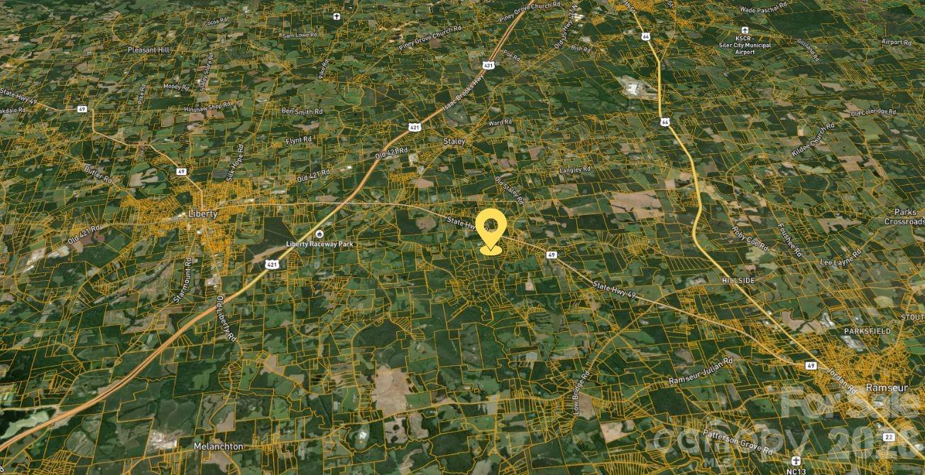 Tbd1 Smith Adkins Road Staley, NC 27355 - Photo 12 of 17 a close up of a plant