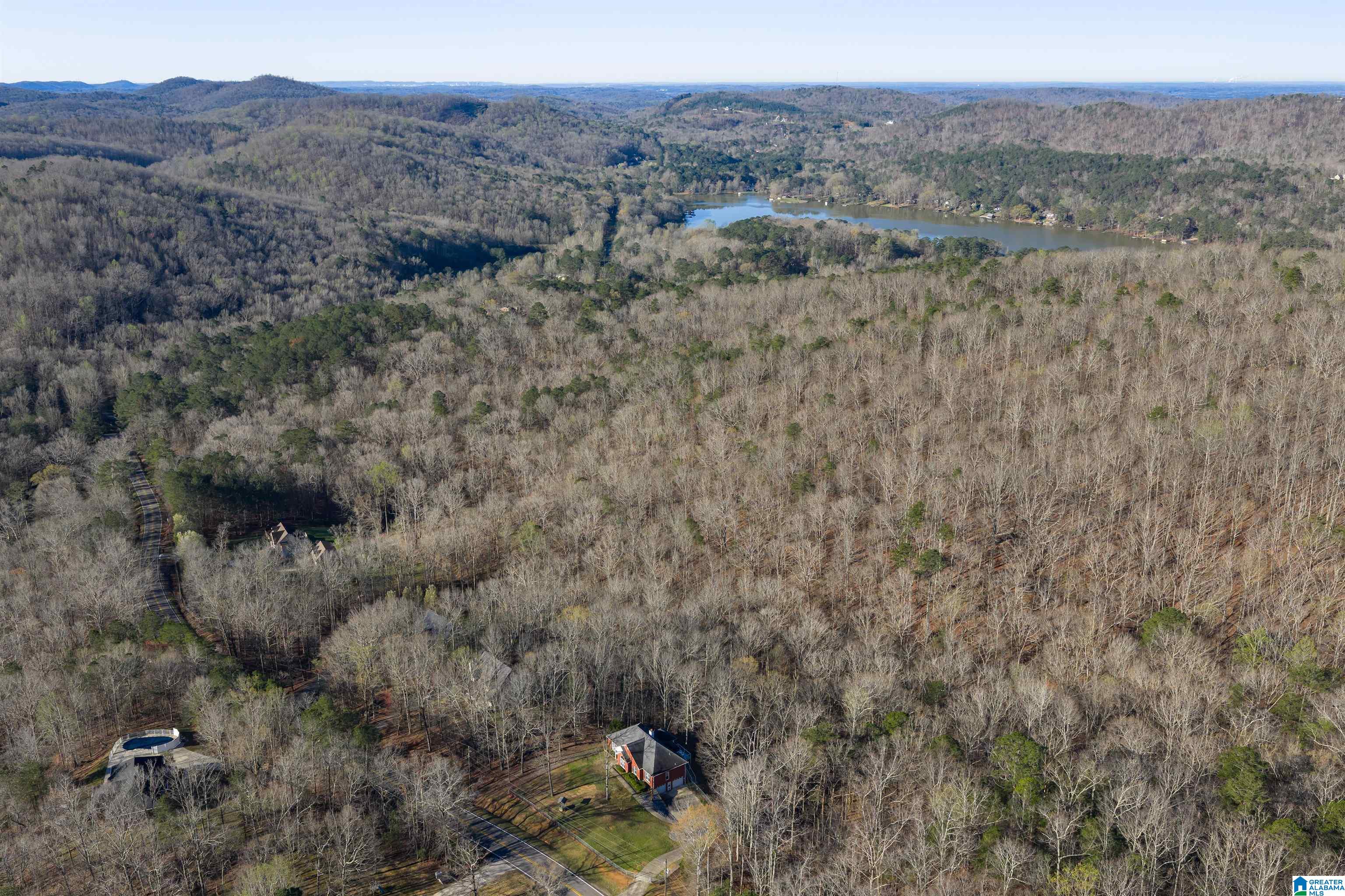 8560 Pine Mountain Road Pinson, AL 35126 - Photo 54 of 59
