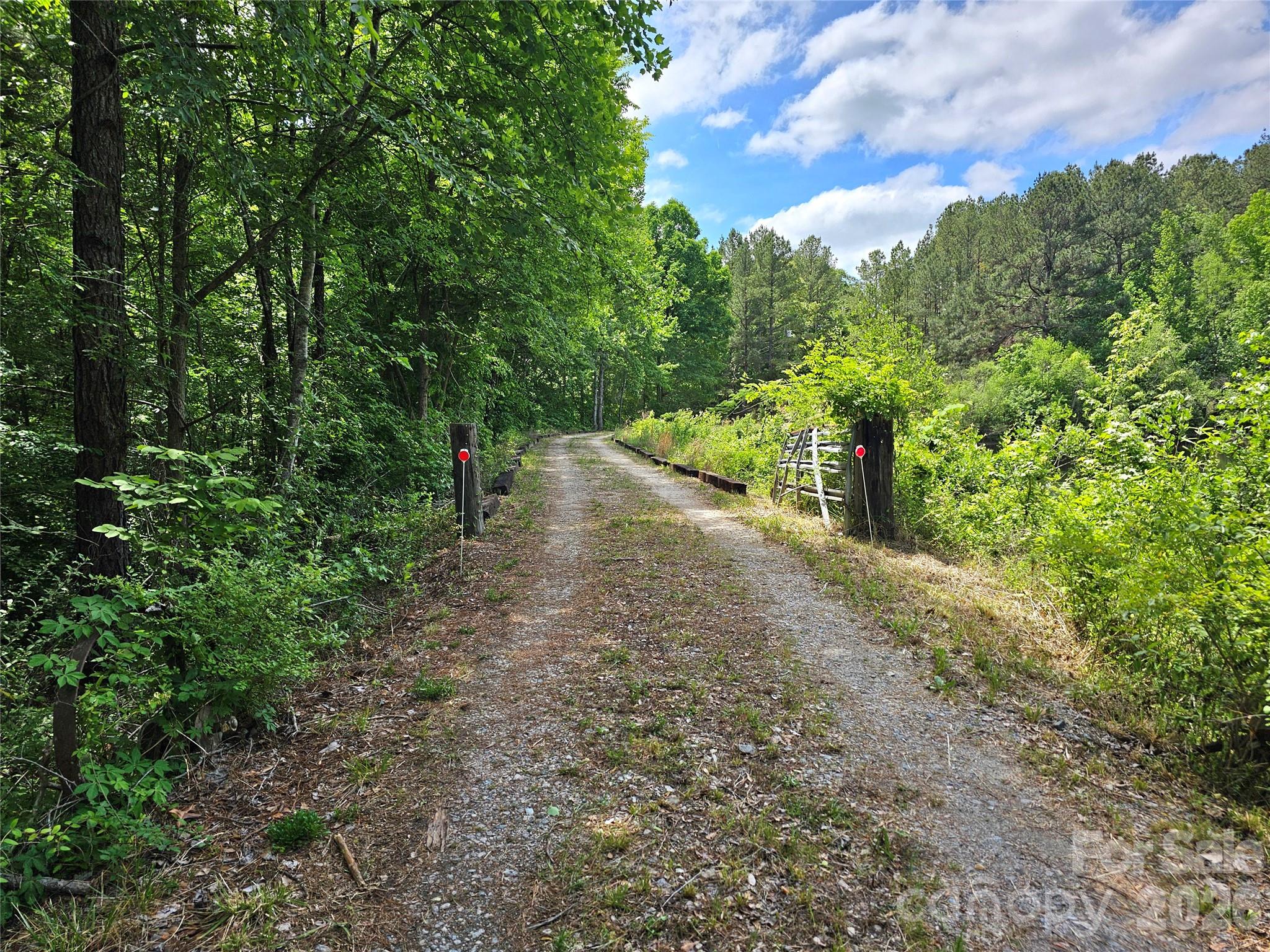 5692 S-141 Great Falls, SC 29055 - Photo 2 of 48 a view of a yard with plants and a trees