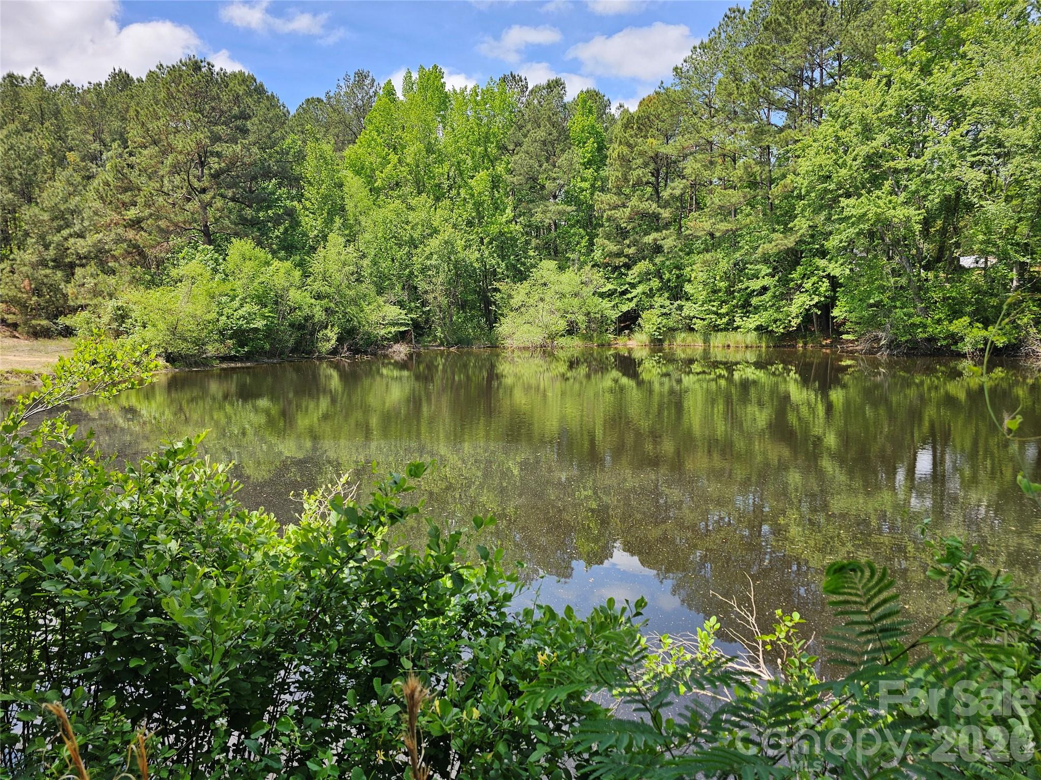 5692 S-141 Great Falls, SC 29055 - Photo 3 of 48 a view of a lake with a house in the background