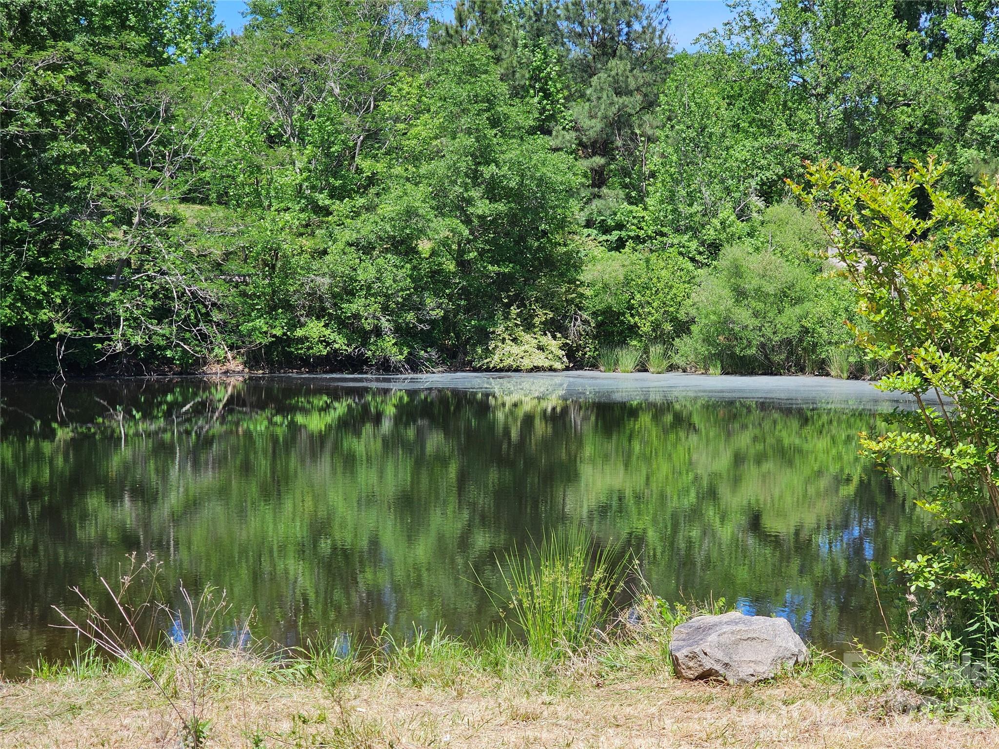 5692 S-141 Great Falls, SC 29055 - Photo 4 of 48 a view of a lake view