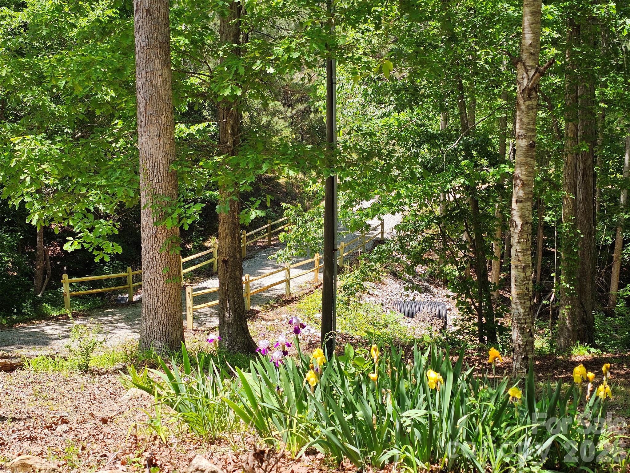 5692 S-141 Great Falls, SC 29055 - Photo 44 of 48 a backyard of a house with lots of green space