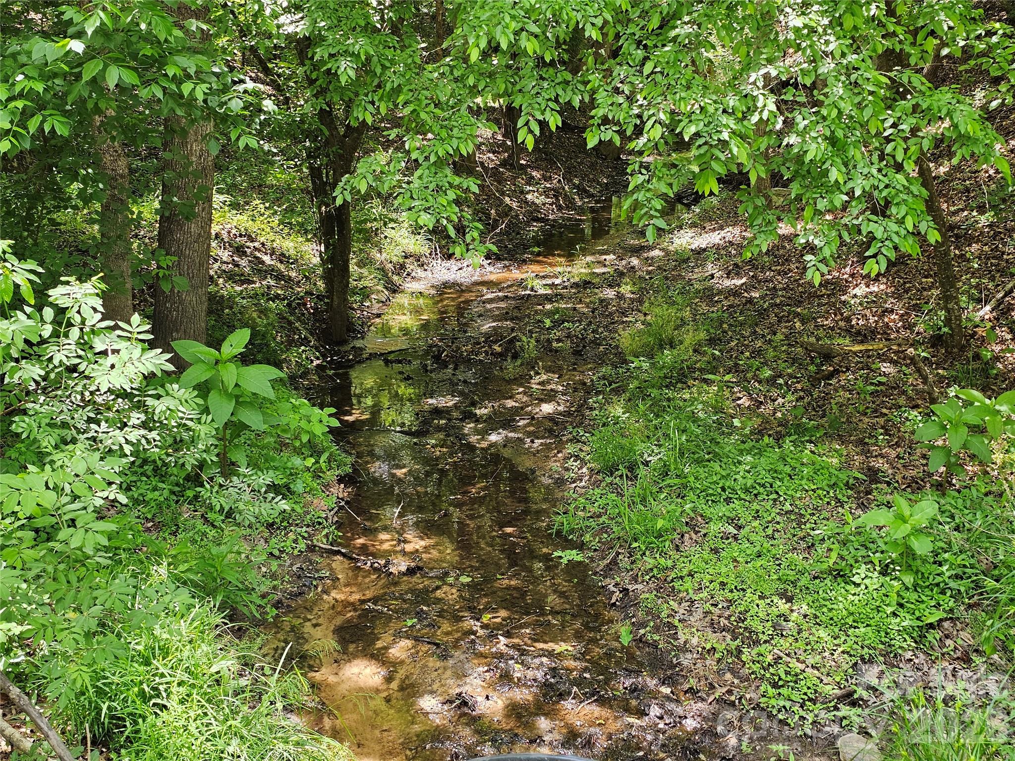5692 S-141 Great Falls, SC 29055 - Photo 8 of 48 a view of a forest