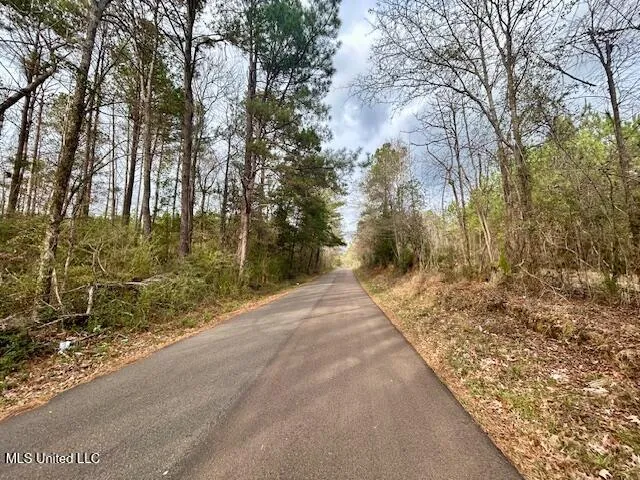 $117,465 | Southeast Lee Drive Southeast, Bogue Chitto, MS 39629