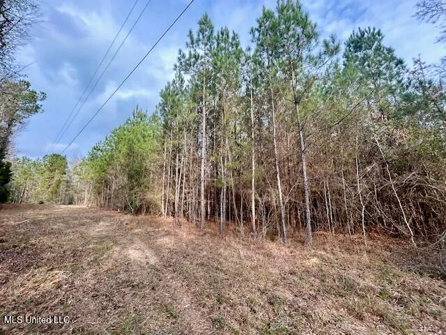 $117,465 | Southeast Lee Drive Southeast, Bogue Chitto, MS 39629