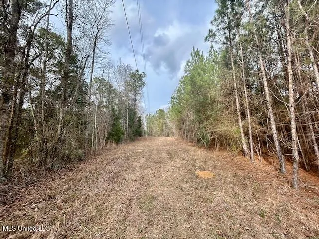 $117,465 | Southeast Lee Drive Southeast, Bogue Chitto, MS 39629