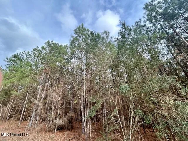 $117,465 | Southeast Lee Drive Southeast, Bogue Chitto, MS 39629