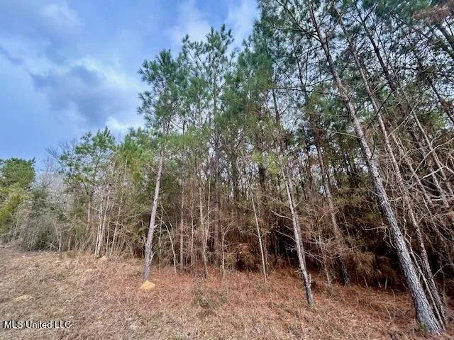 $117,465 | Southeast Lee Drive Southeast, Bogue Chitto, MS 39629