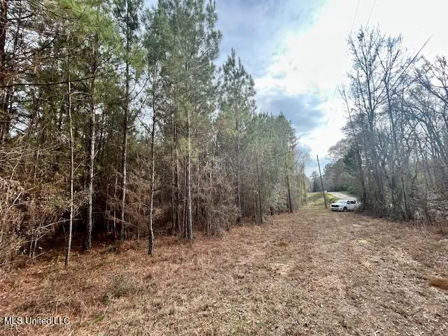 $117,465 | Southeast Lee Drive Southeast, Bogue Chitto, MS 39629