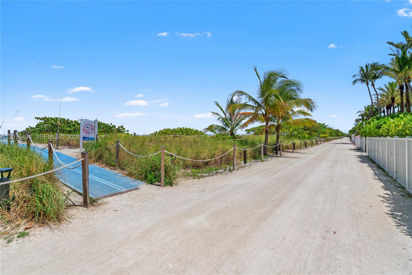 9455 Collins Avenue, Unit 310 Surfside, FL 33154 - Photo 16 of 19 a view of a road with plants and a big yard