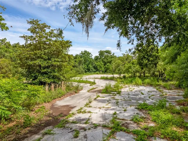 a view of yard with green space