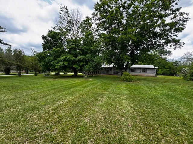 a view of a trees in a park