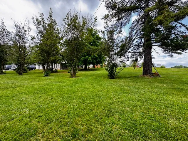 a view of outdoor space with garden