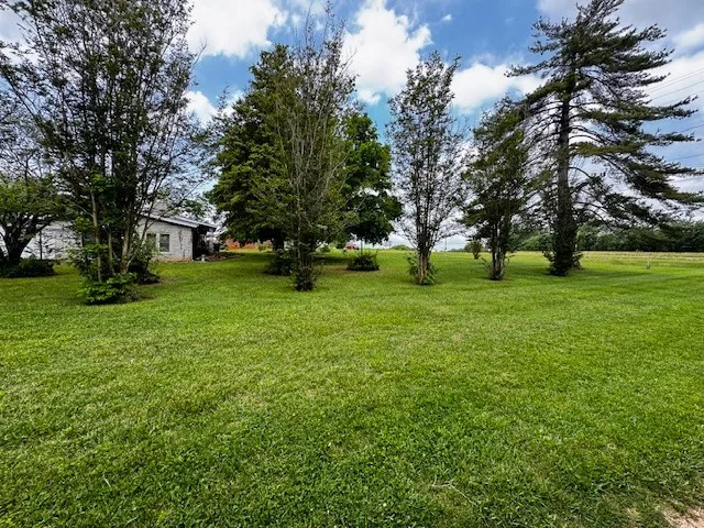 a view of a volley ball court