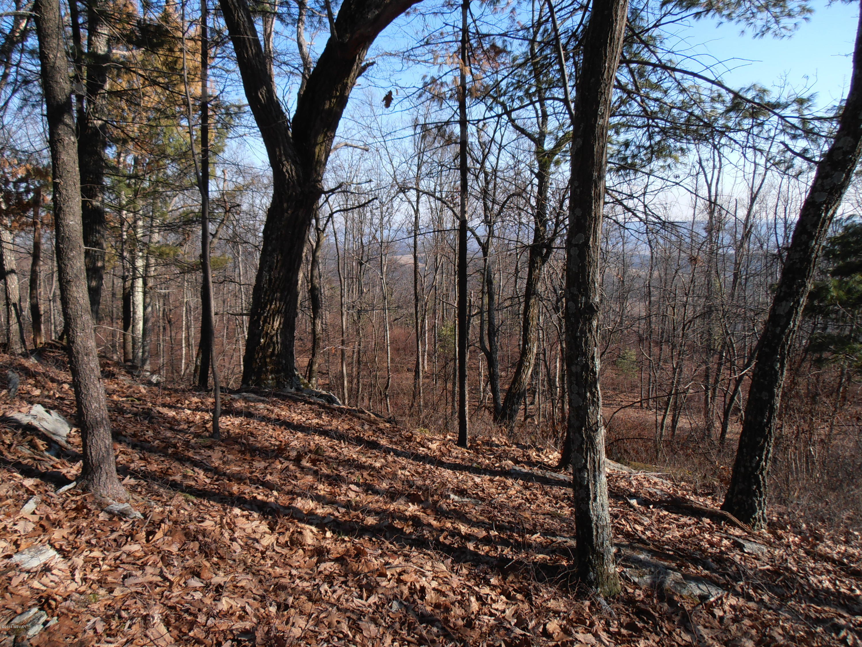 504 Furnace Run Road Jersey Shore, PA 17740 - Photo 30 of 36 PATCH PHOTOS 015