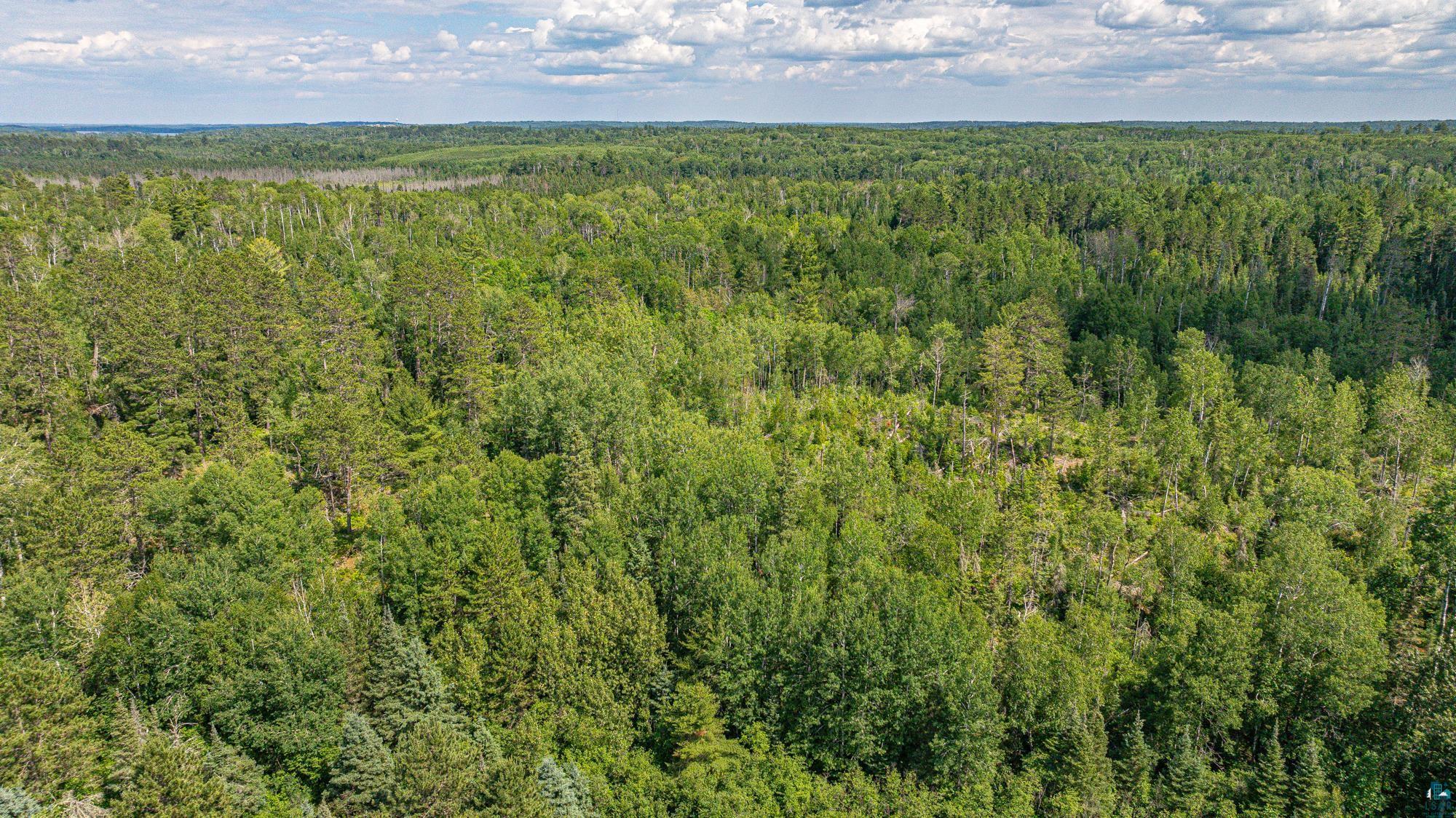 2538 Marttila Road Ely, MN 55731 - Photo 88 of 93