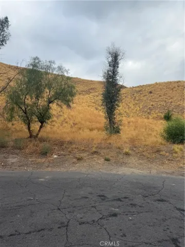 a view of dirt yard with a large tree
