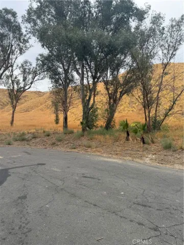 a view of dirt yard with a tree