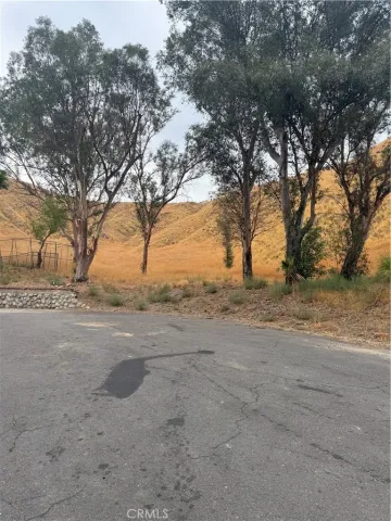 a view of dirt yard with a large tree
