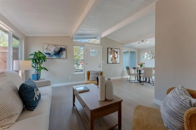 a living room with furniture and a potted plant