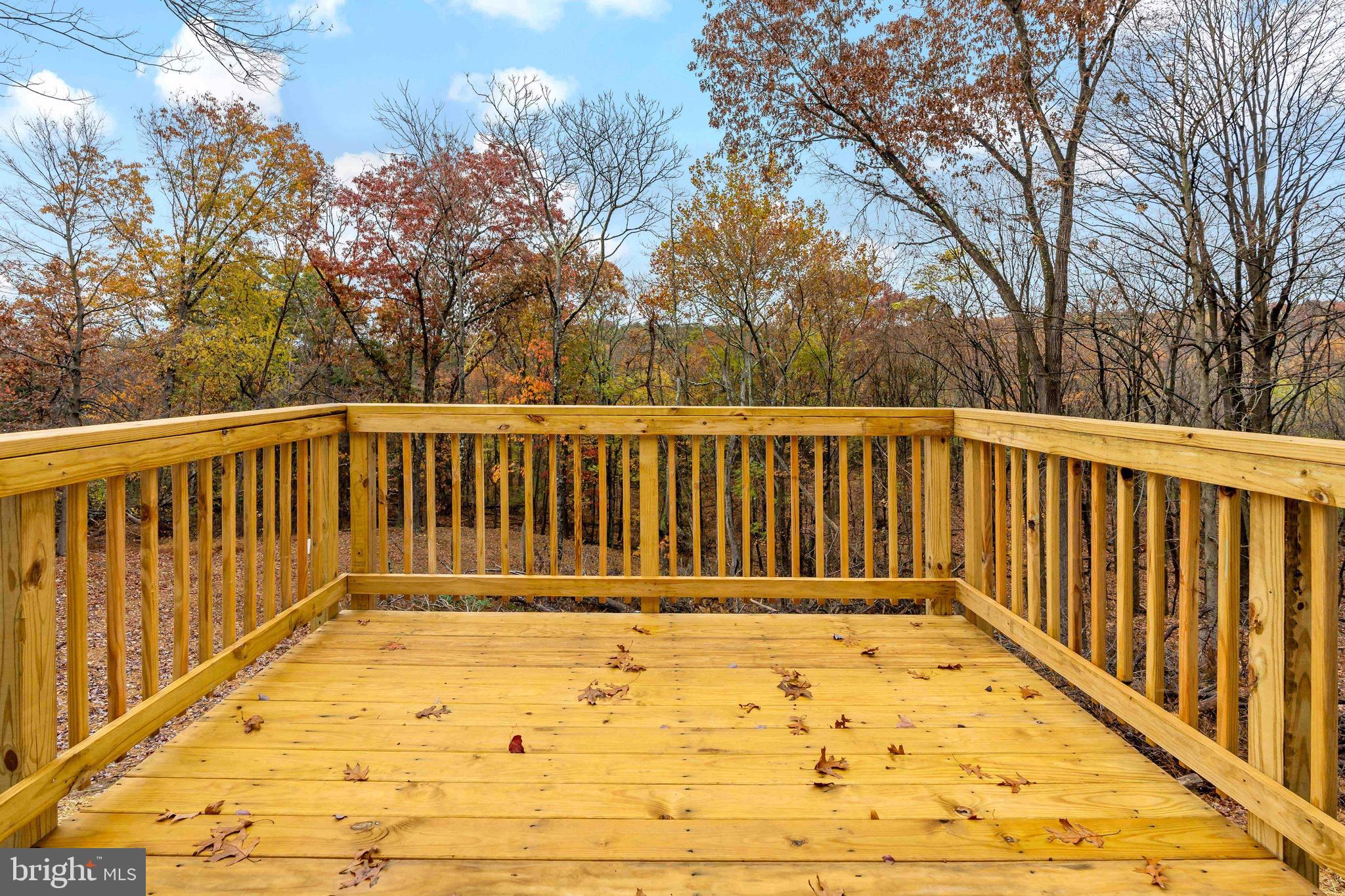 1601 Tabor Road Berkeley Springs, WV 25411 - Photo 3 of 22 Back deck with gorgeous mountain views