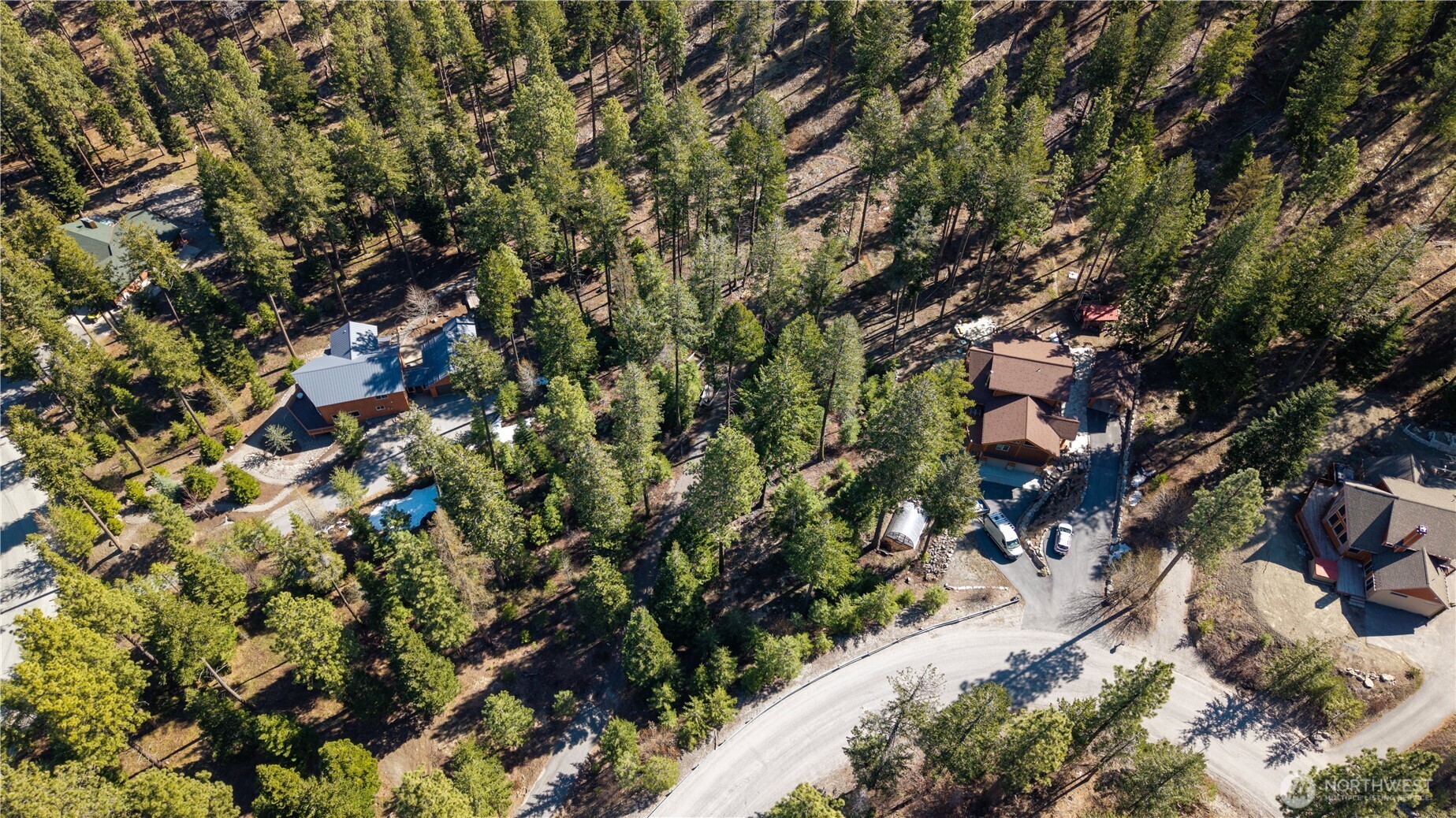 6761 Forest Ridge Drive Wenatchee, WA 98801 - Photo 11 of 14 a view of a tree in a yard
