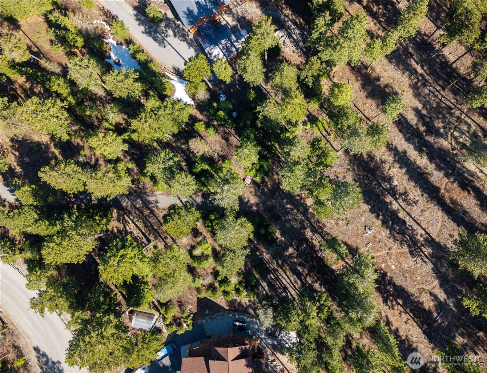 6761 Forest Ridge Drive Wenatchee, WA 98801 - Photo 9 of 14 a view of a tree