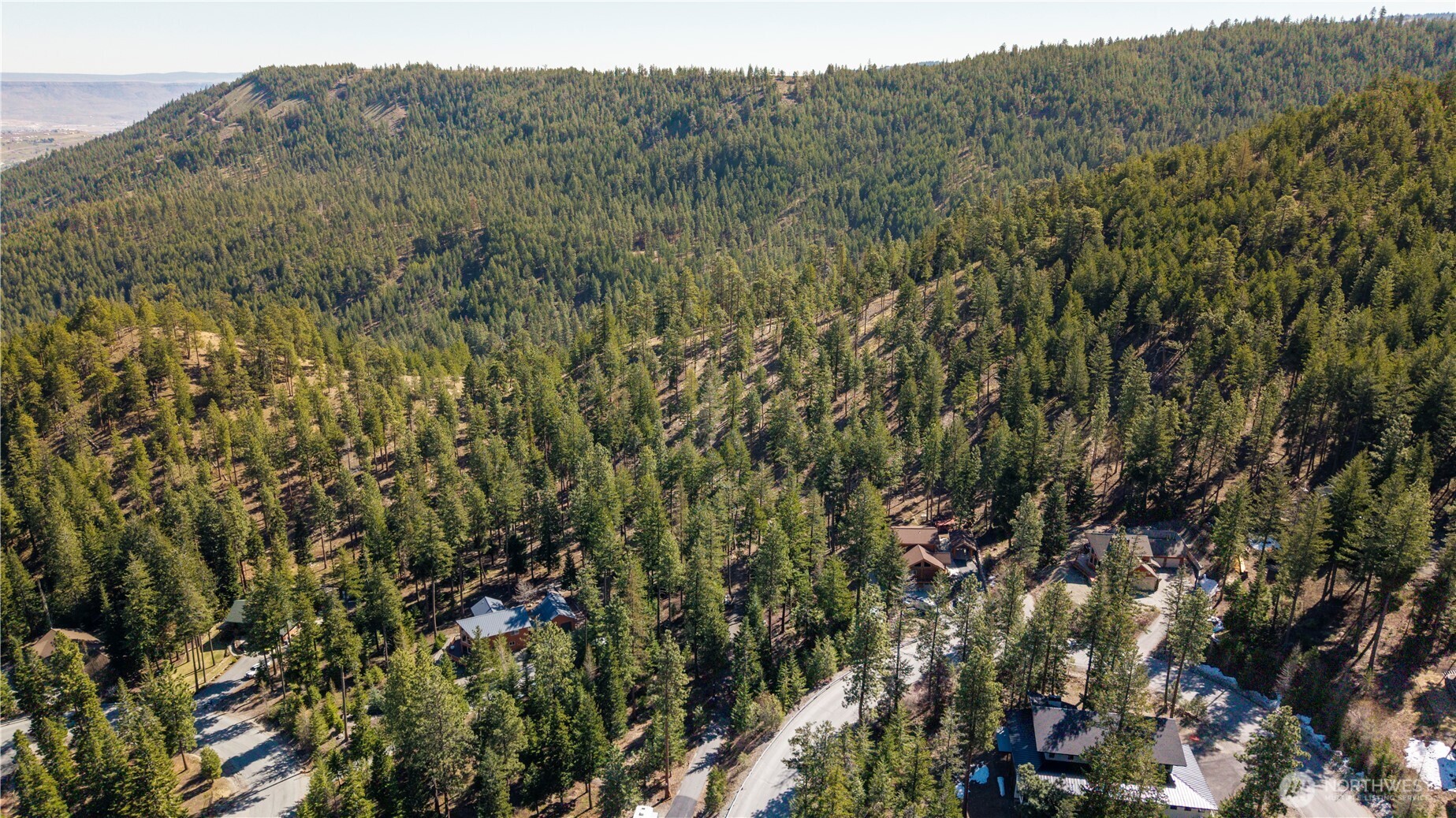 6761 Forest Ridge Drive Wenatchee, WA 98801 - Photo 10 of 14 a view of a forest with a tree