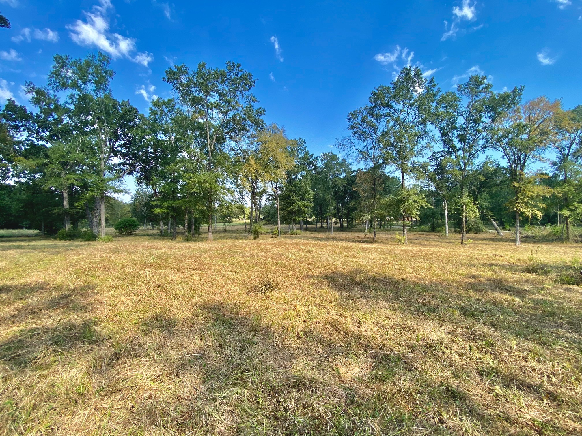 1124 Creekwood Road Crockett, TX 75835 - Photo 3 of 11