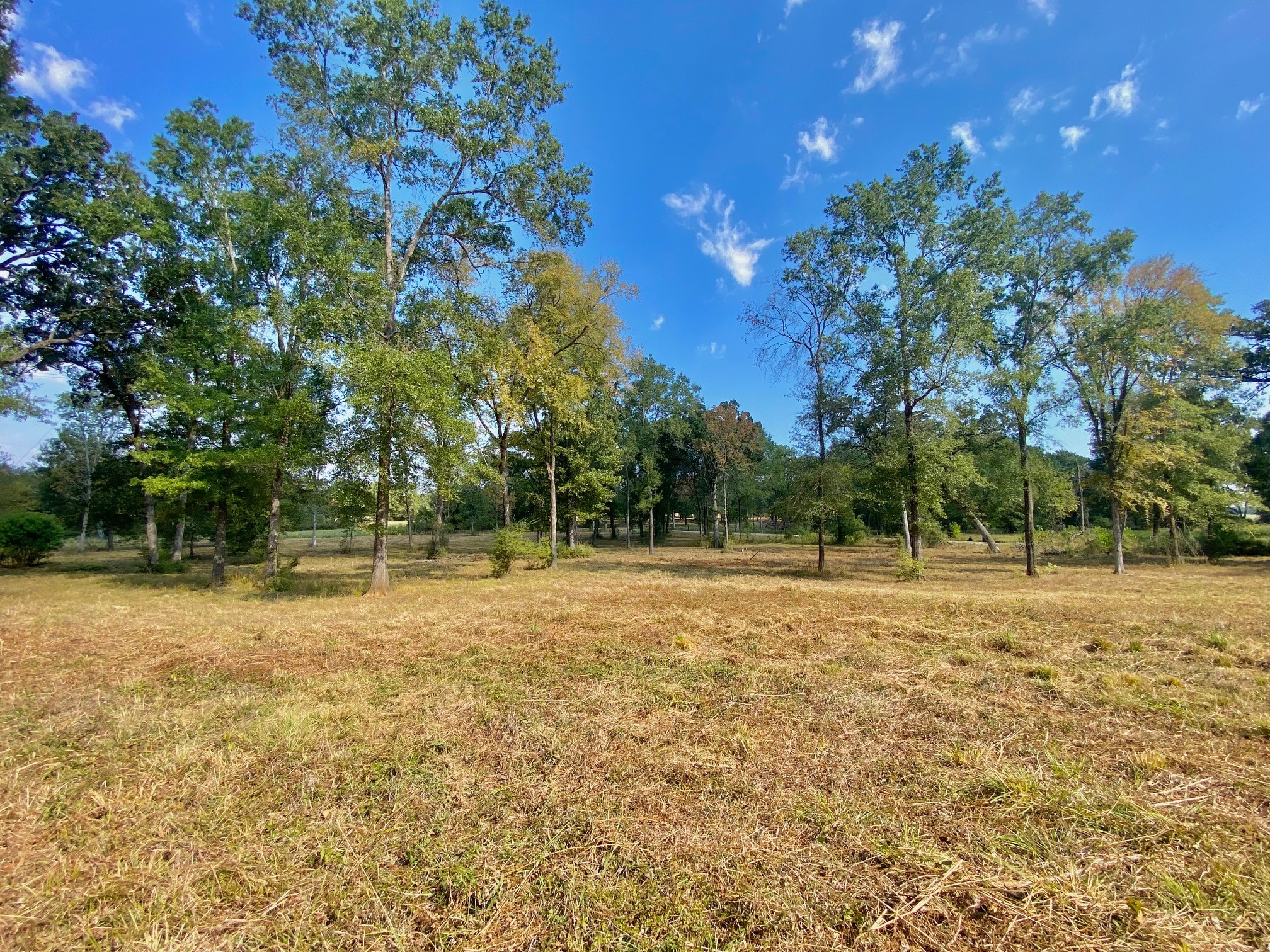 1124 Creekwood Road Crockett, TX 75835 - Photo 4 of 11