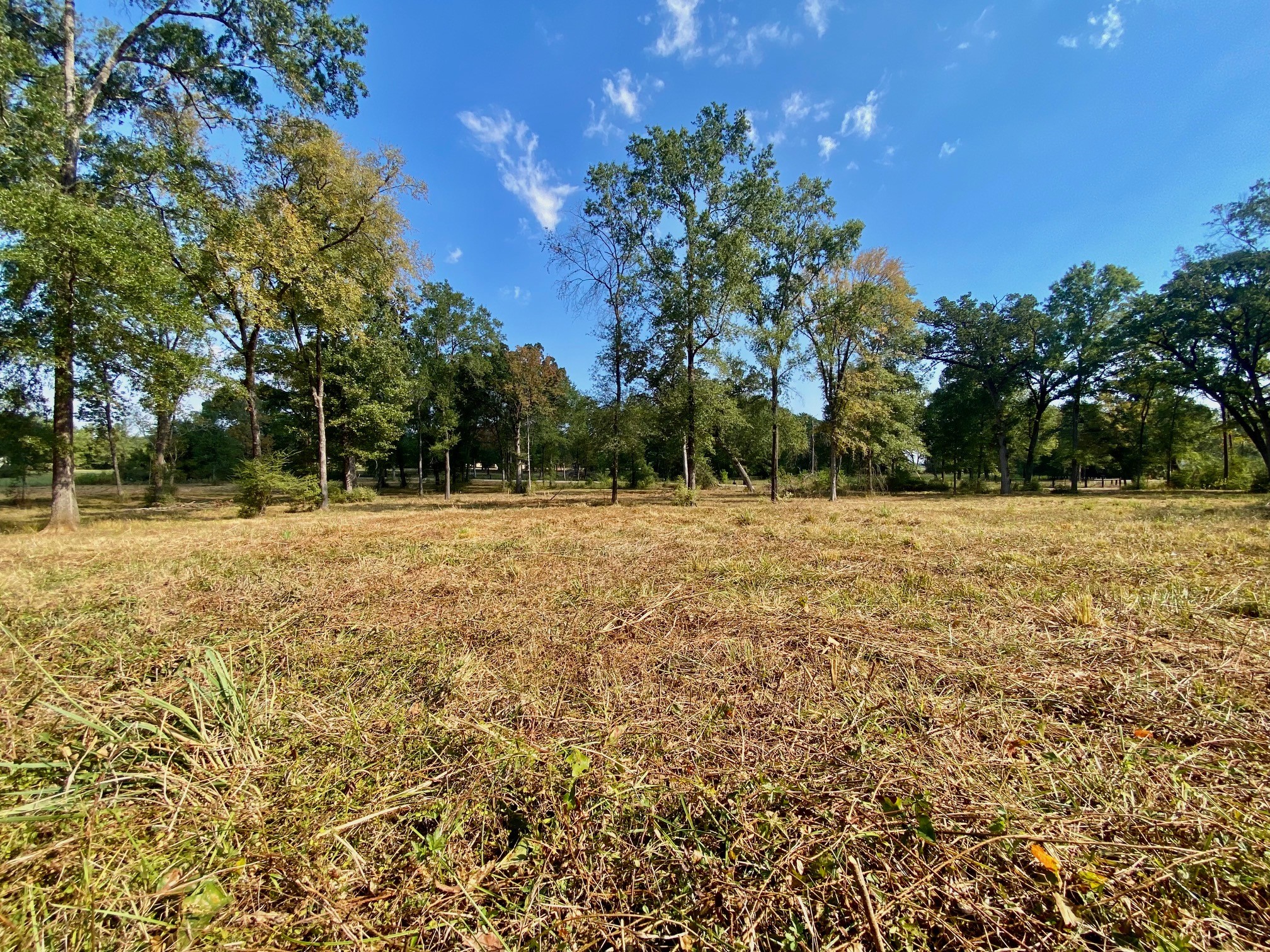 1124 Creekwood Road Crockett, TX 75835 - Photo 6 of 11