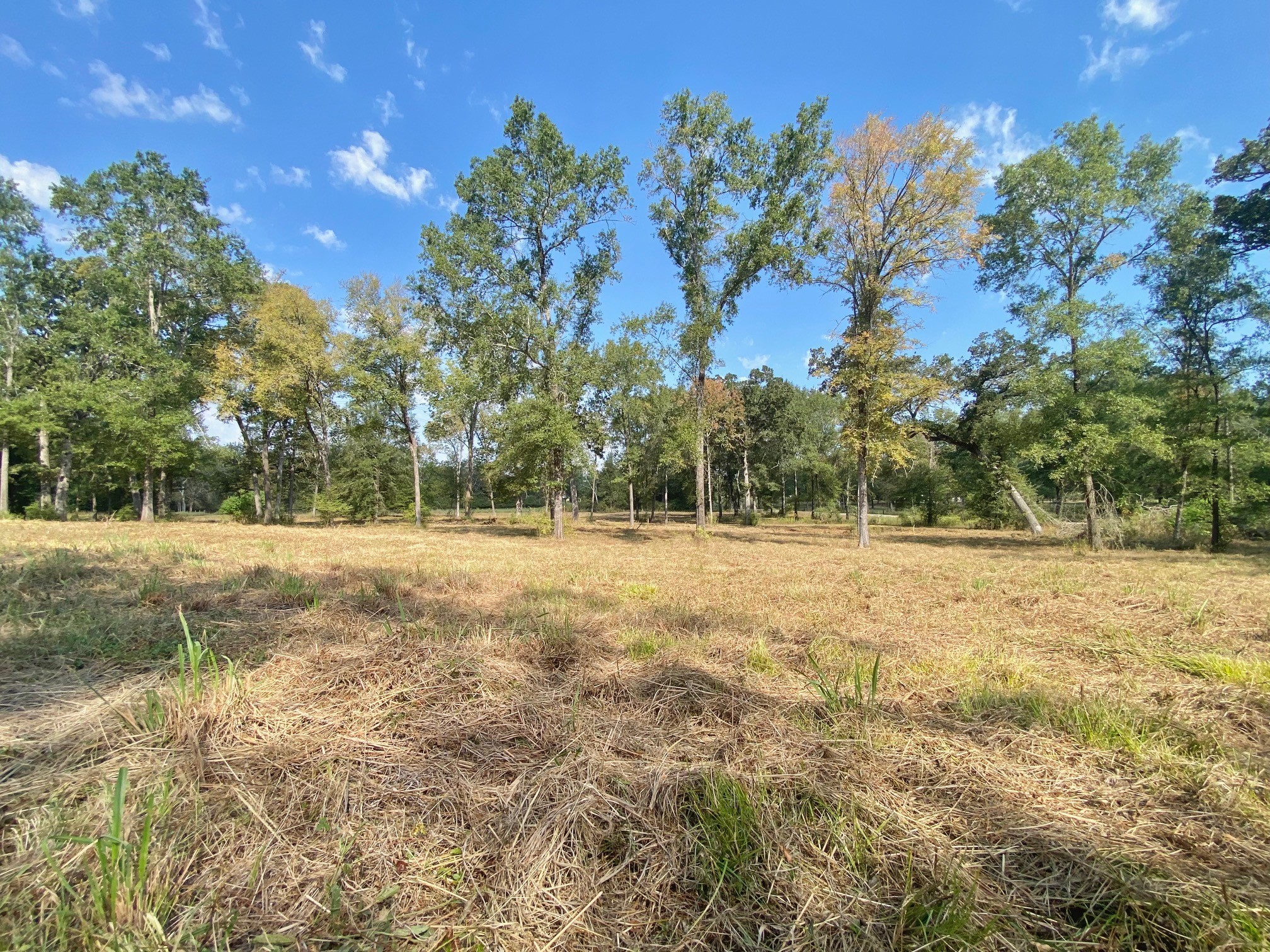 1124 Creekwood Road Crockett, TX 75835 - Photo 7 of 11