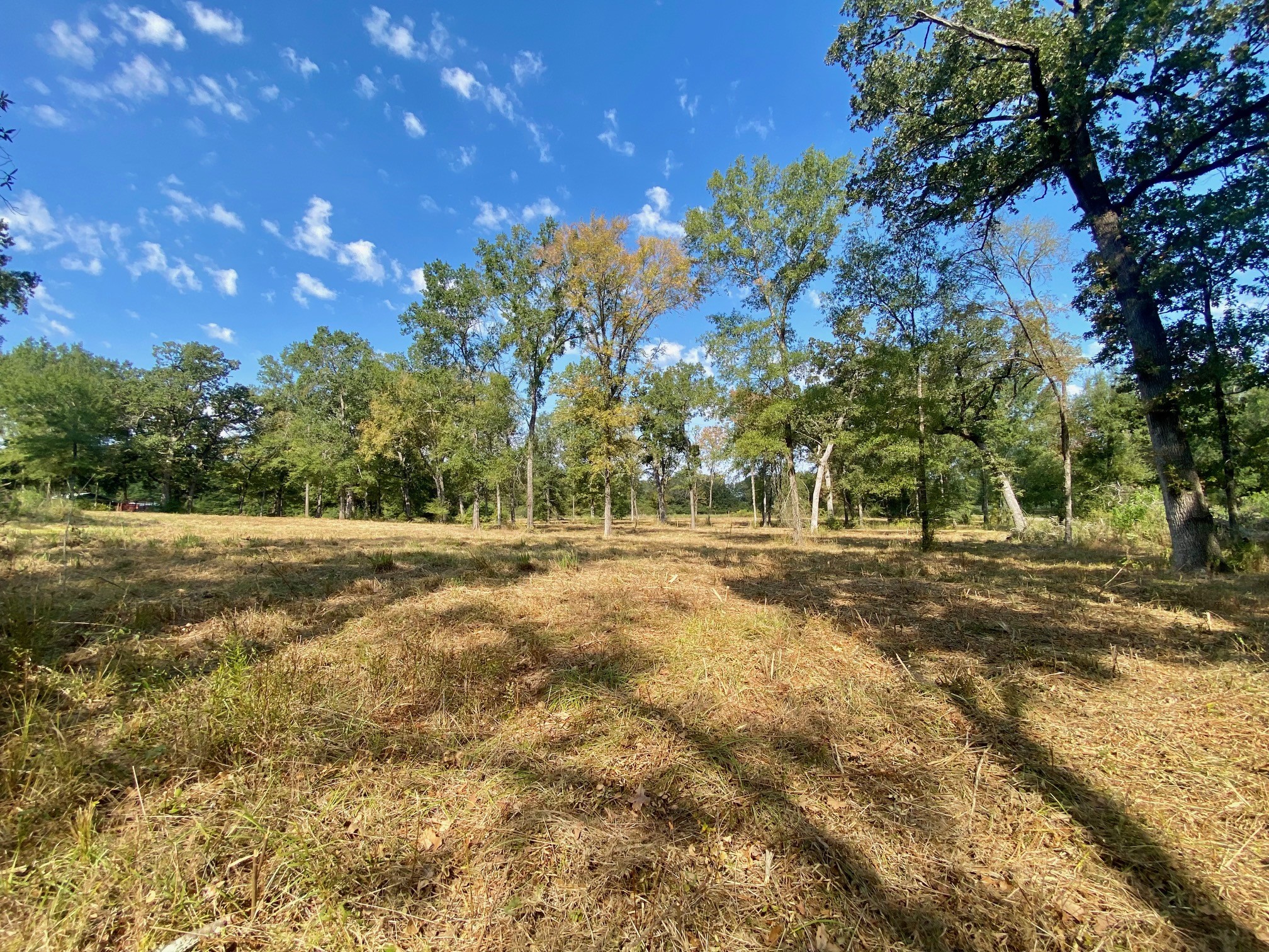 1124 Creekwood Road Crockett, TX 75835 - Photo 8 of 11