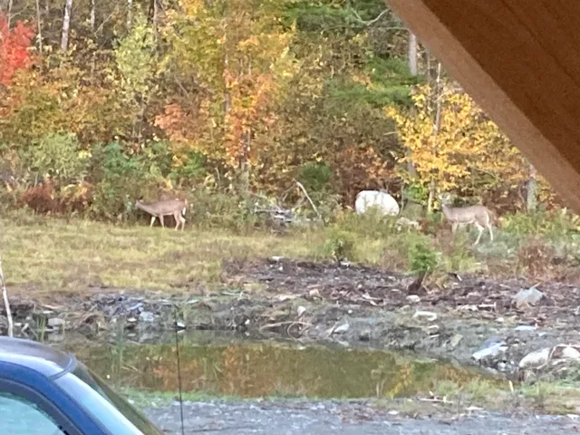 $239,000 | 18 Amy Way, Milo, ME 04463