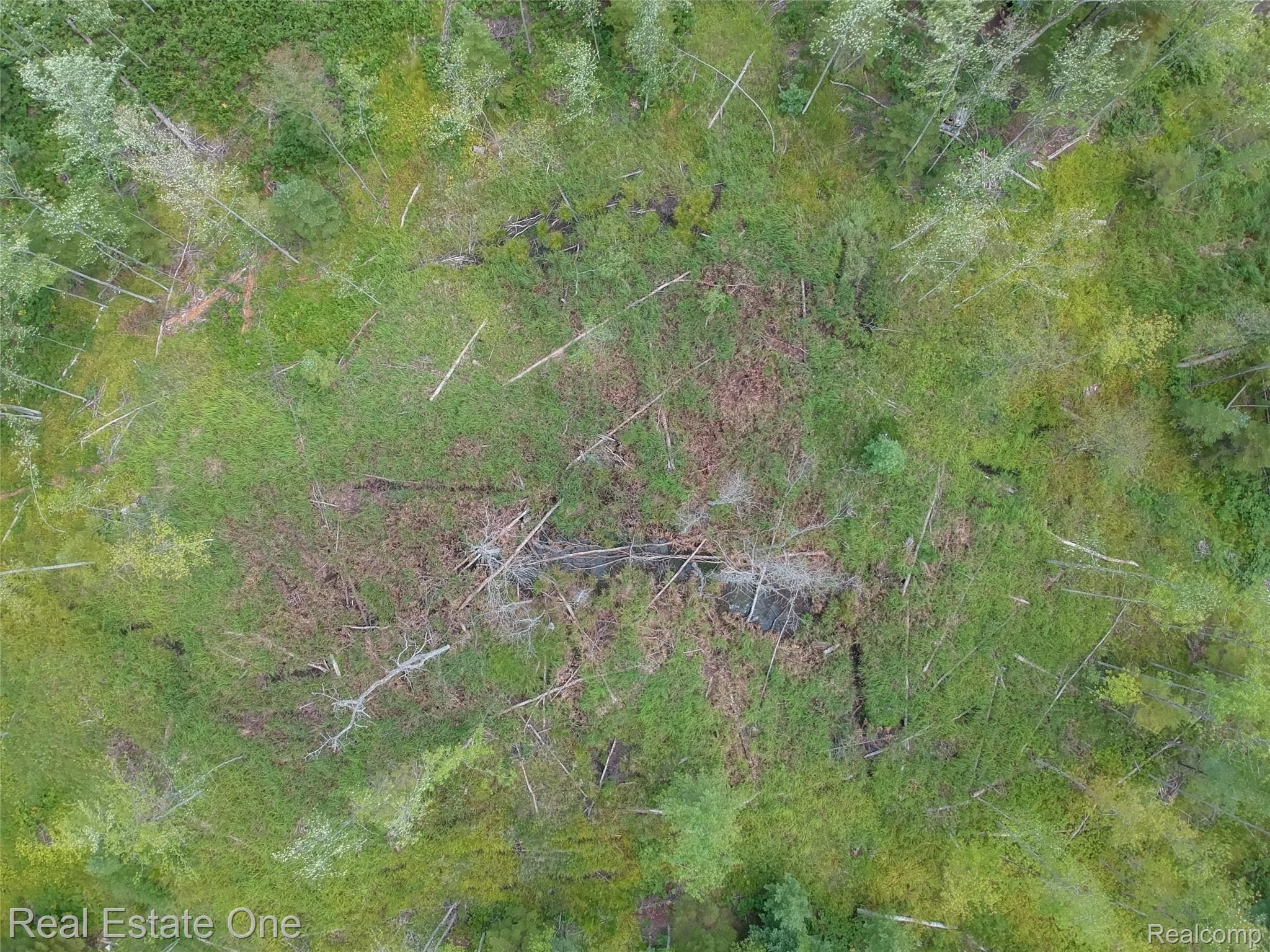 0 South Morrison Road Alger, MI 48610 - Photo 22 of 38 DJI-3458-59-60-MLS.jpg