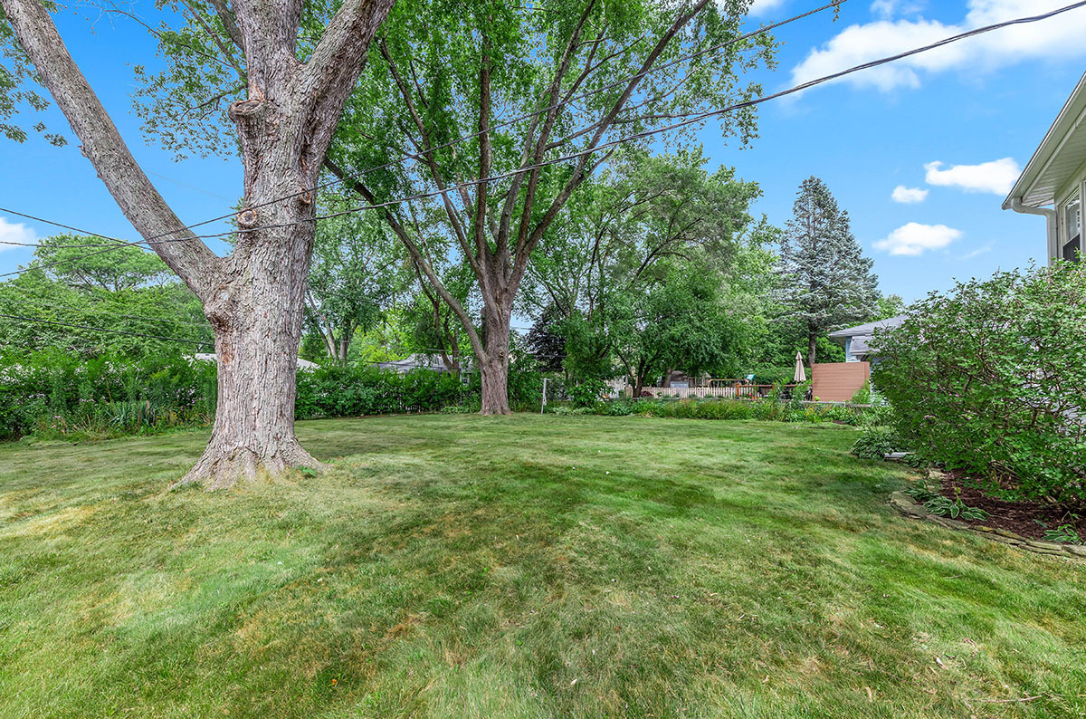 1237 Cardinal Lane Naperville, IL 60540 - Photo 25 of 25