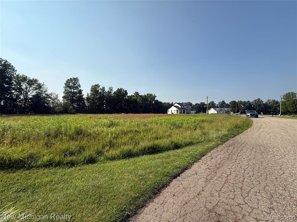 9807 Oak Ridge Road New Lothrop, MI 48460 - Photo 6 of 10