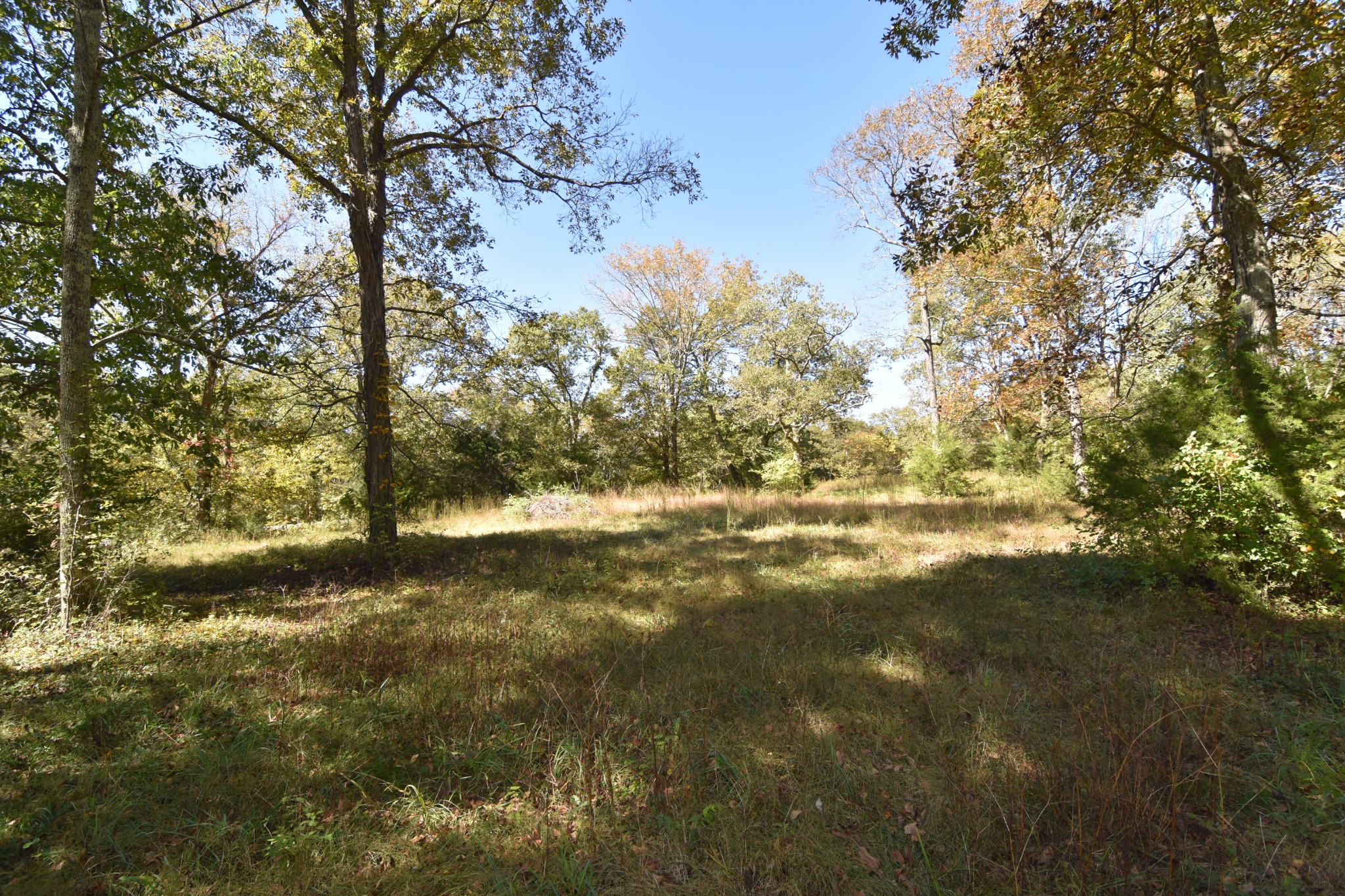 980 Harkreader Road Mount Juliet, TN 37122 - Photo 27 of 33 a view of lake view