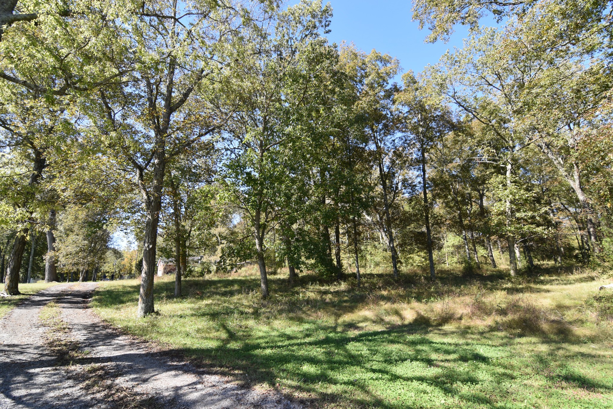 980 Harkreader Road Mount Juliet, TN 37122 - Photo 28 of 33 a backyard of a house with lots of green space