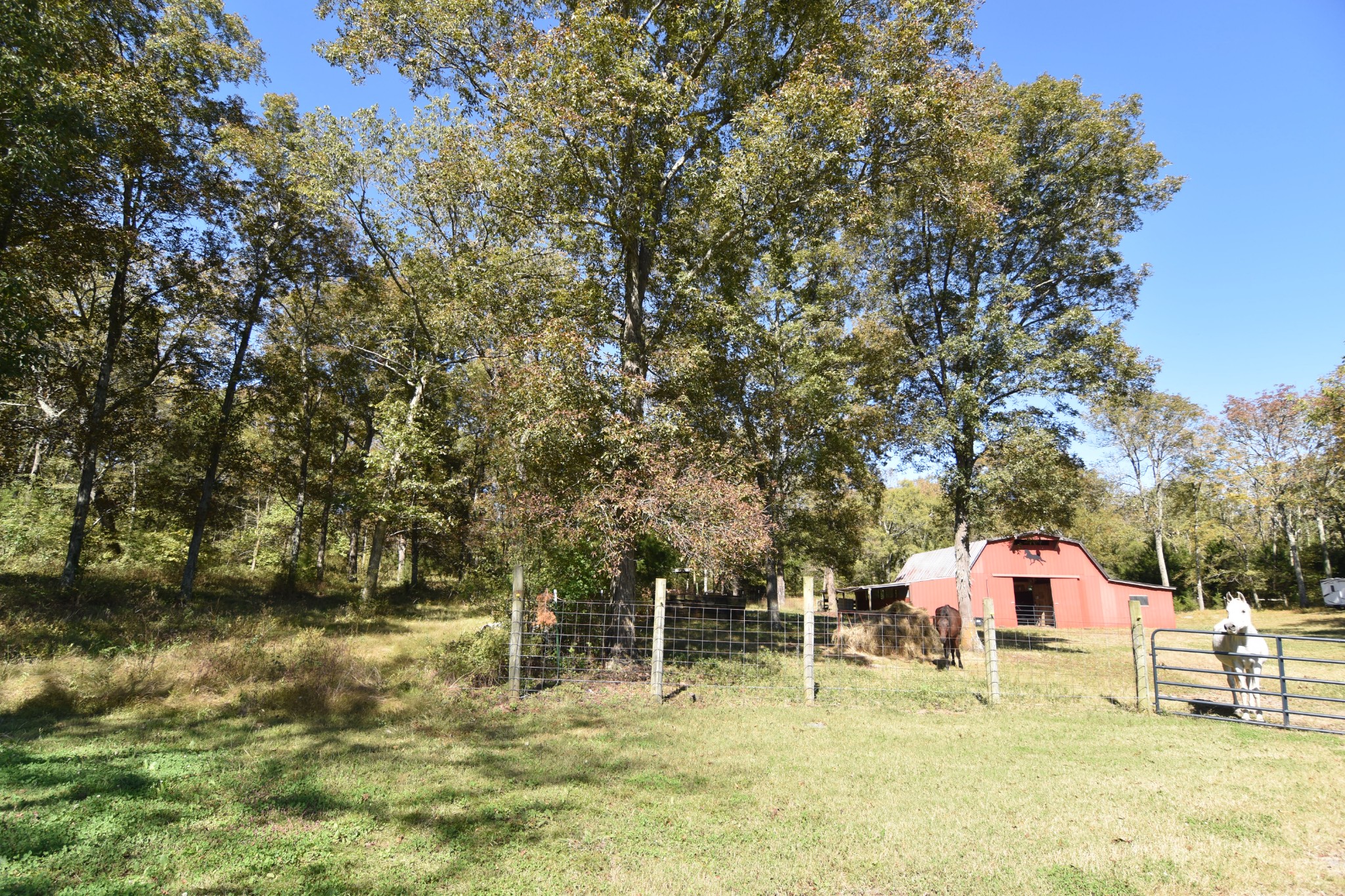980 Harkreader Road Mount Juliet, TN 37122 - Photo 29 of 33 a backyard of a house with table and chairs