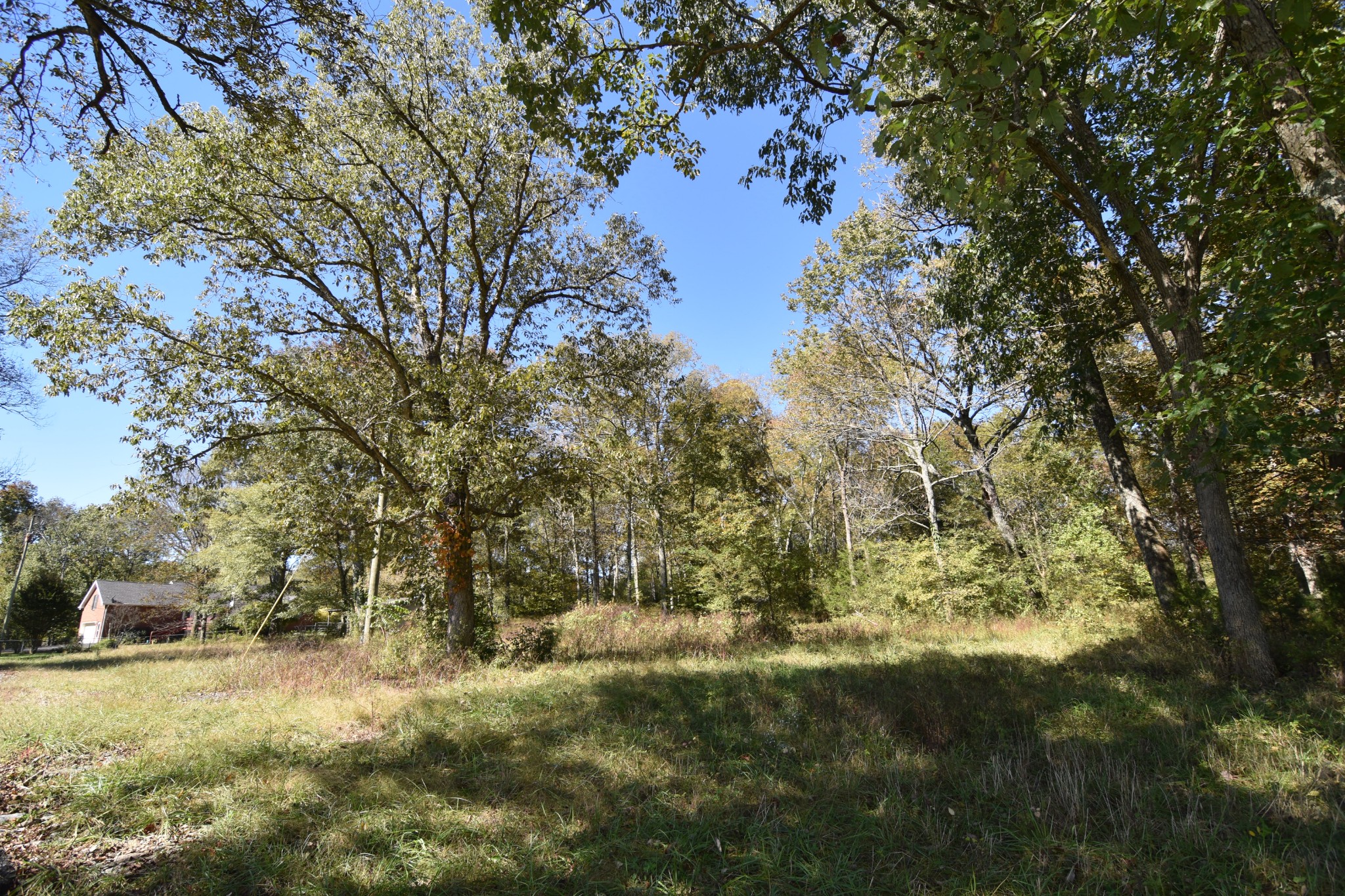 980 Harkreader Road Mount Juliet, TN 37122 - Photo 30 of 33 a view of a yard with a tree