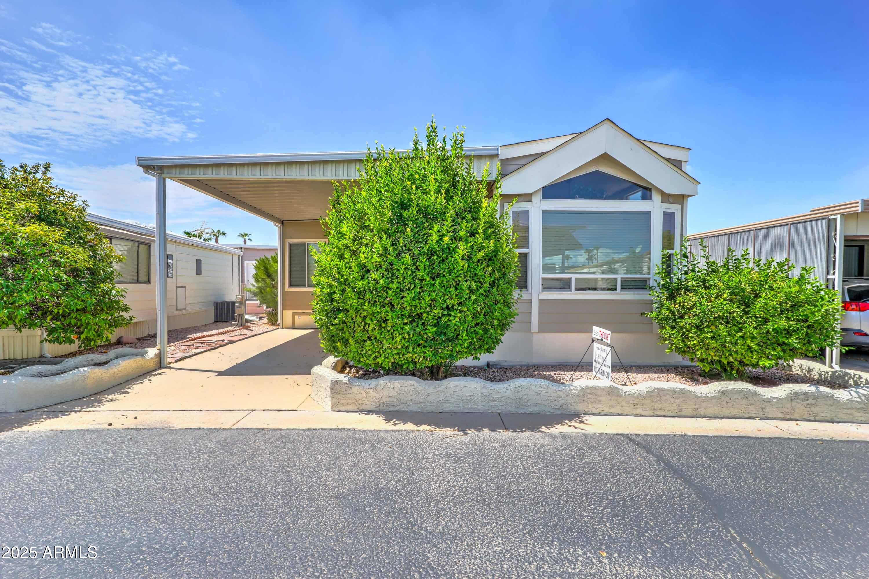 111 South Greenfield Road, Unit 166 Mesa, AZ 85206 - Photo 3 of 28 Healthy fruit trees