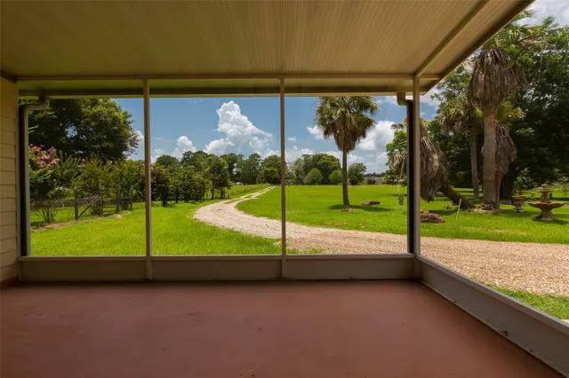 a view of a park with a large tree