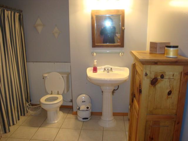 12137 Sullivan Road Emmett, MI 48022 - Photo 18 of 26 This is view 1 of the bathroom in the basement.