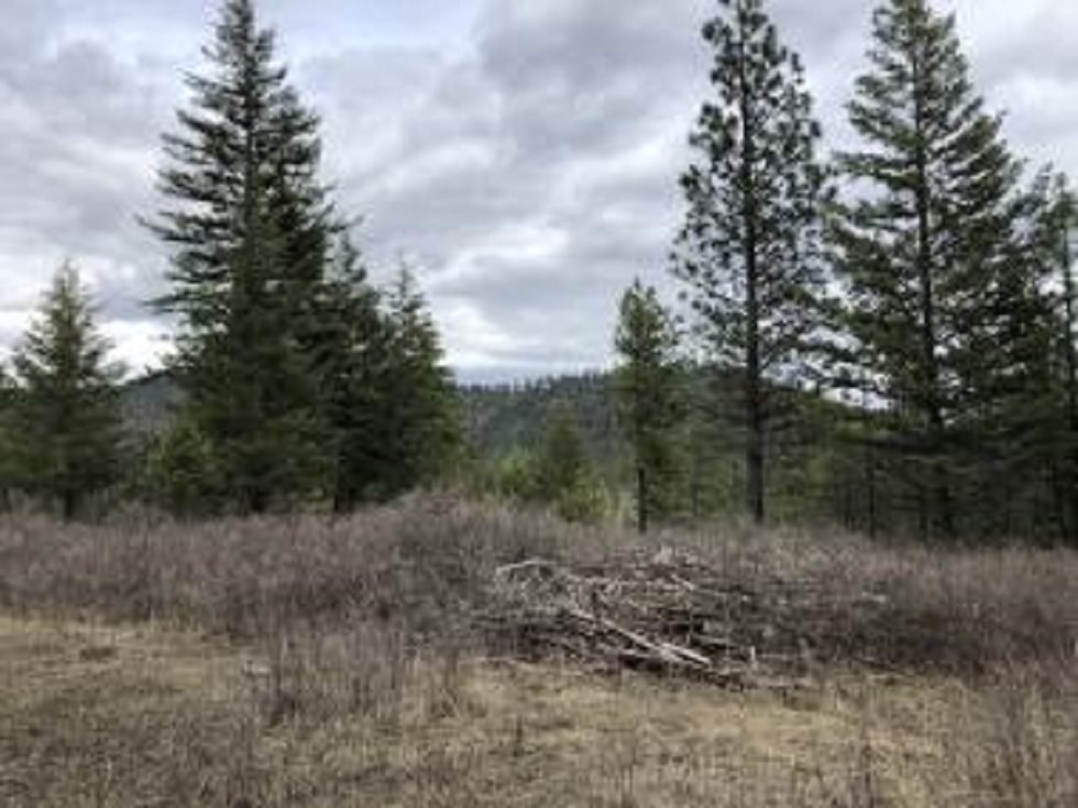 Xxx Lot 2 Xxx Road Valley, WA 99181 - Photo 2 of 4 Gallery Image 2