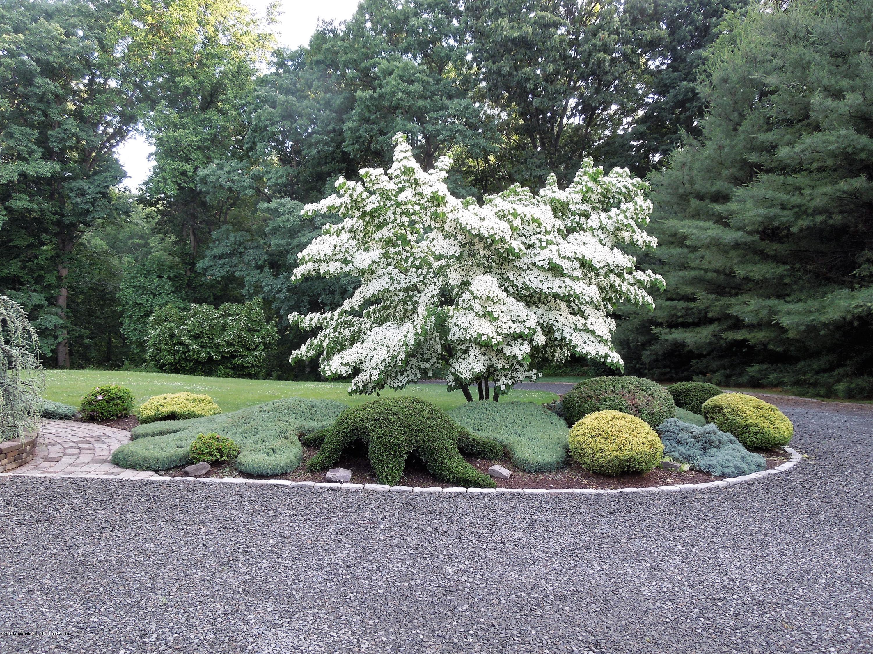 148 Emley's Hill Road Cream Ridge, NJ 08514 - Photo 27 of 27 a backyard of a house with a yard and outdoor seating
