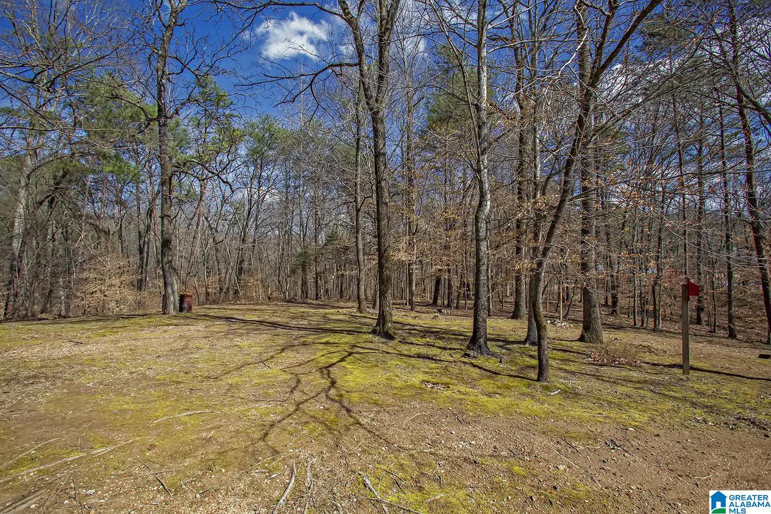 6911 Deer Haven Road Pinson, AL 35126 - Photo 43 of 52