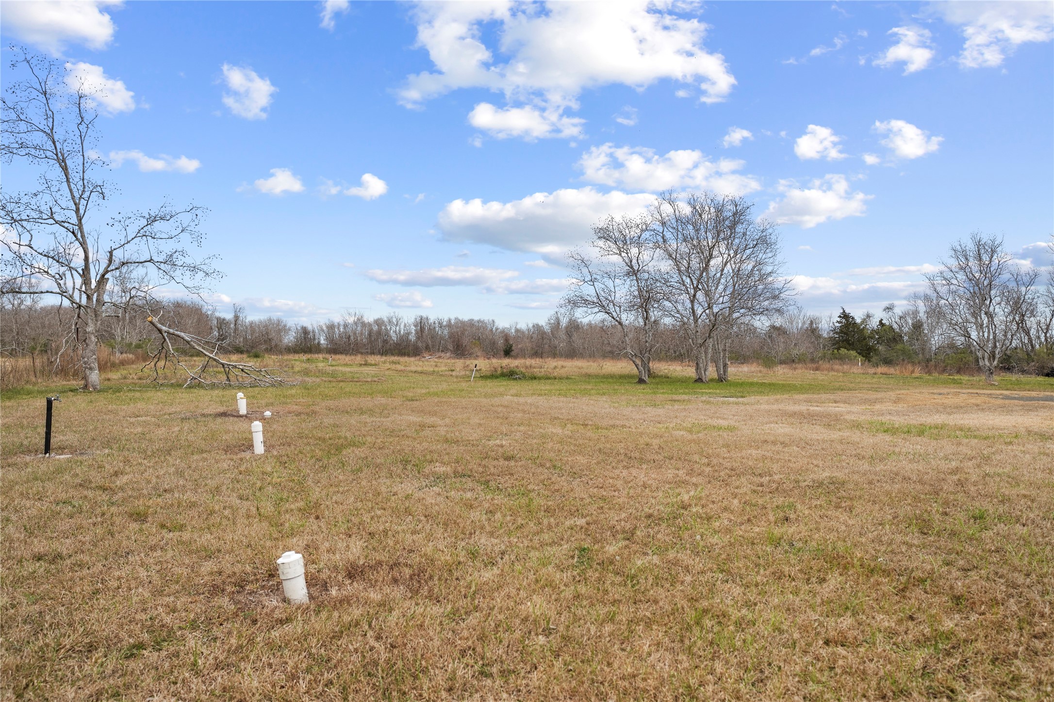 19645 Nordt Road Damon, TX 77430 - Photo 49 of 50 a view of a lake
